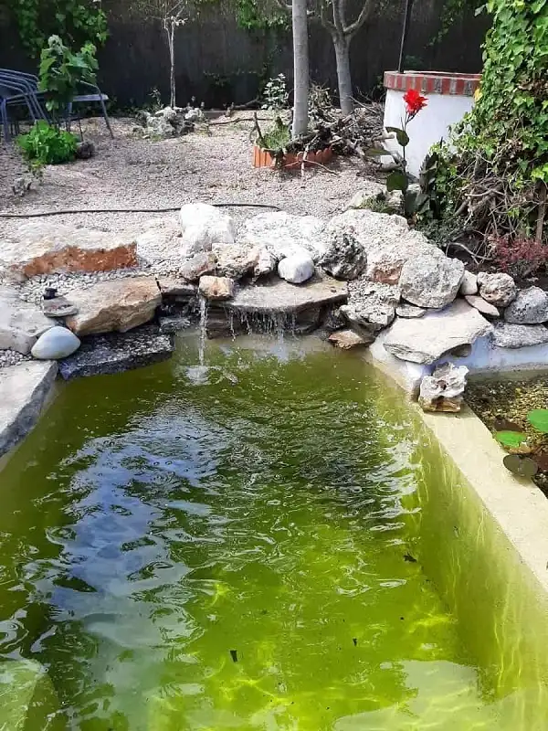 piscina natural pequeña